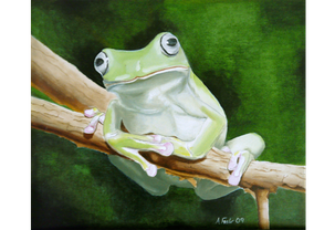 Whites tree frog - Alkyd oil paint